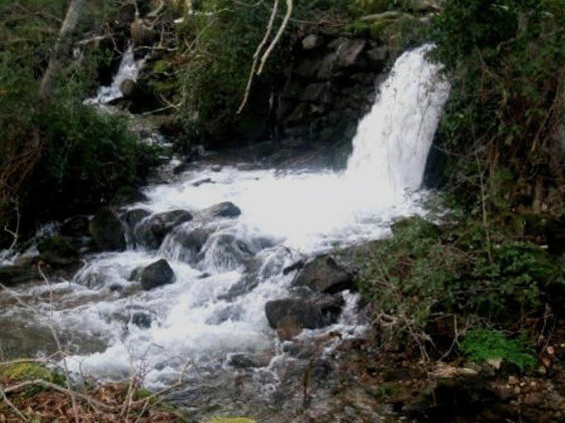 Quinta Do Lagar Da Moira Hotel Vila Franca da Serra Eksteriør billede