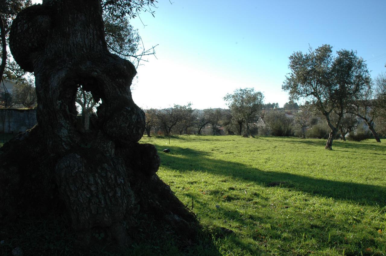 Quinta Do Lagar Da Moira Hotel Vila Franca da Serra Eksteriør billede